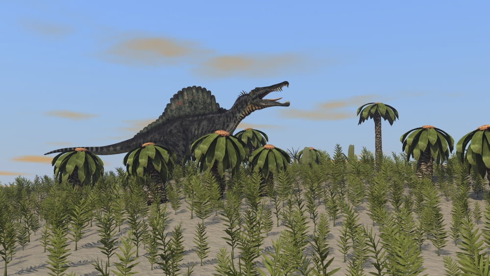 Spinosaurus hunting in a desert environment Canvas Art - Kostyantyn IvanyshenStocktrek Images (19 x 11)