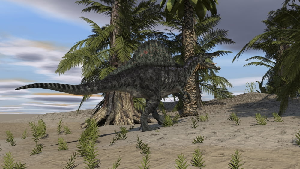 Spinosaurus hunting in a desert environment Canvas Art - Kostyantyn IvanyshenStocktrek Images (38 x 22)