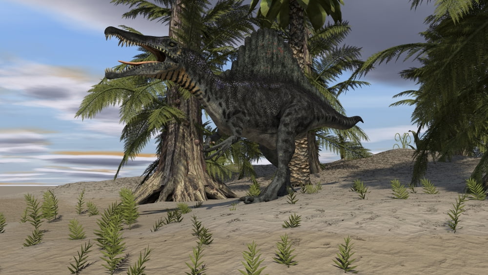Spinosaurus hunting in a desert environment Canvas Art - Kostyantyn IvanyshenStocktrek Images (38 x 22)
