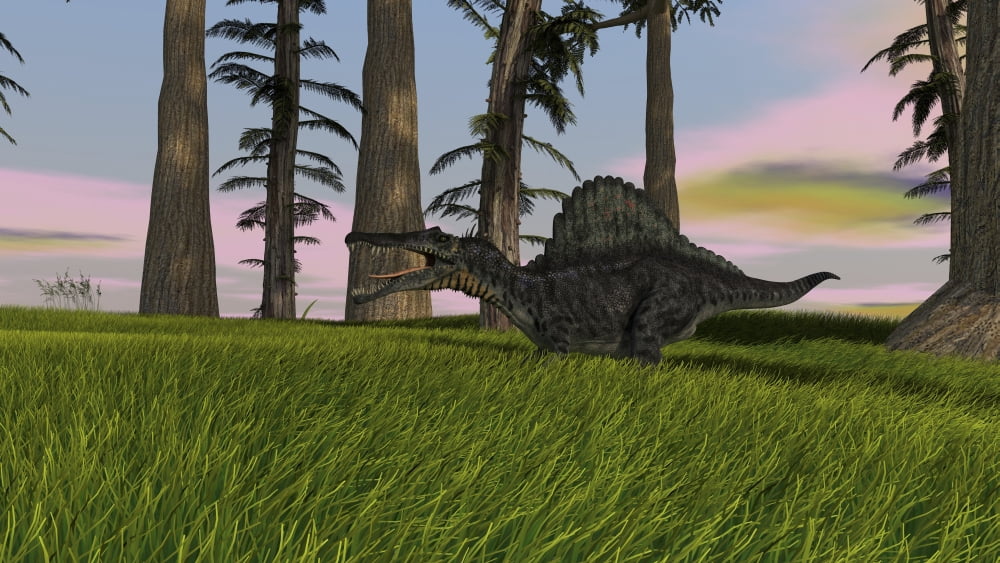Spinosaurus hunting in a grassy field Canvas Art - Kostyantyn IvanyshenStocktrek Images (19 x 11)