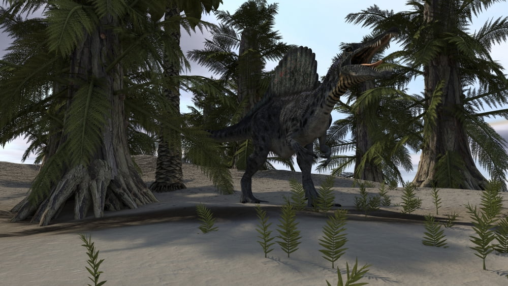 Spinosaurus hunting in a prehistoric environment Canvas Art - Kostyantyn IvanyshenStocktrek Images (19 x 11)