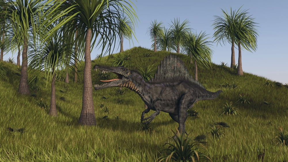 Spinosaurus hunting in an open field Canvas Art - Kostyantyn IvanyshenStocktrek Images (19 x 11)