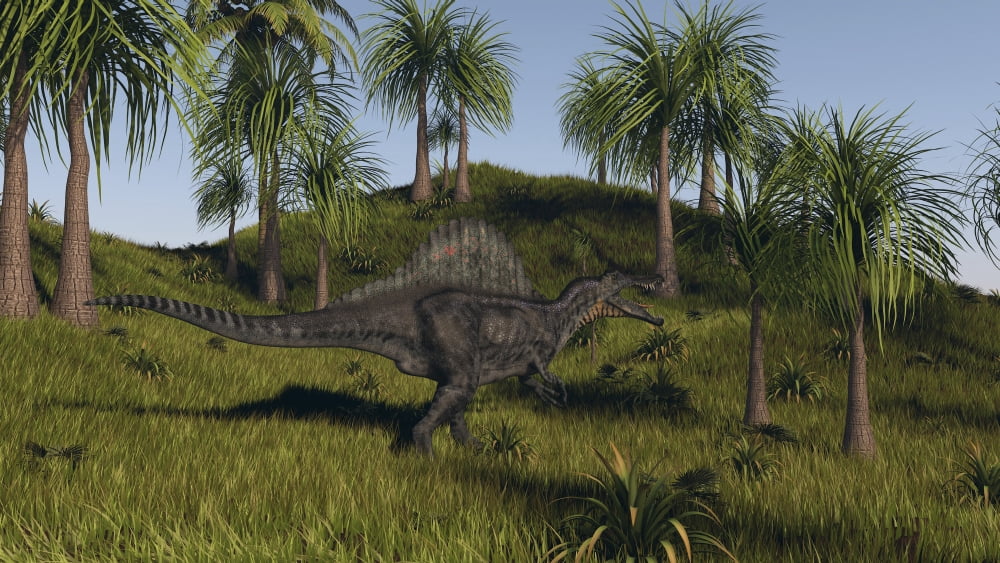 Spinosaurus hunting in an open field Canvas Art - Kostyantyn IvanyshenStocktrek Images (38 x 22)