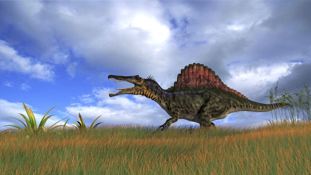 Spinosaurus hunting in prehistoric grasslands Canvas Art - Kostyantyn IvanyshenStocktrek Images (19 x 11)
