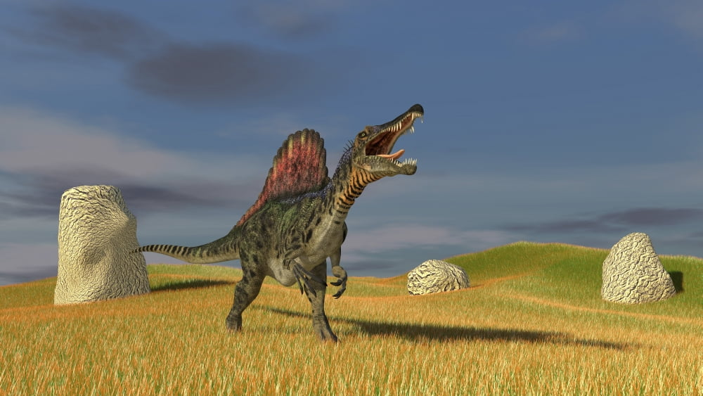 Spinosaurus hunting in prehistoric grasslands Canvas Art - Kostyantyn IvanyshenStocktrek Images (38 x 22)