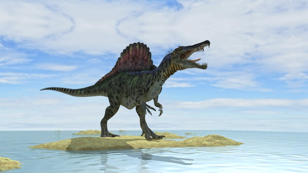 Spinosaurus hunting in prehistoric waters Canvas Art - Kostyantyn IvanyshenStocktrek Images (38 x 22)