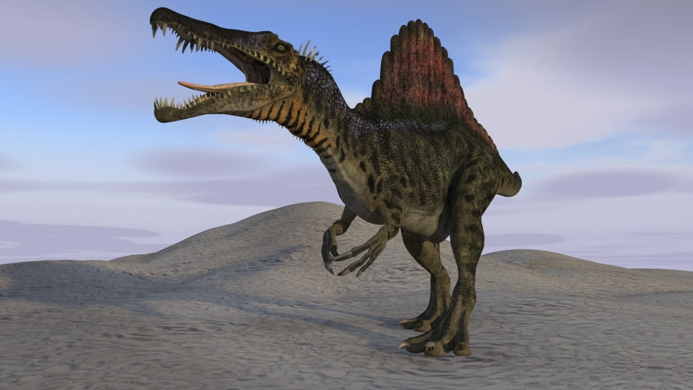 Spinosaurus hunting on barren terrain Canvas Art - Kostyantyn IvanyshenStocktrek Images (38 x 22)