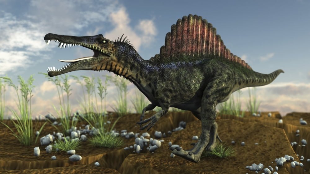 Spinosaurus in a desert landscape Canvas Art - Kostyantyn IvanyshenStocktrek Images (19 x 11)