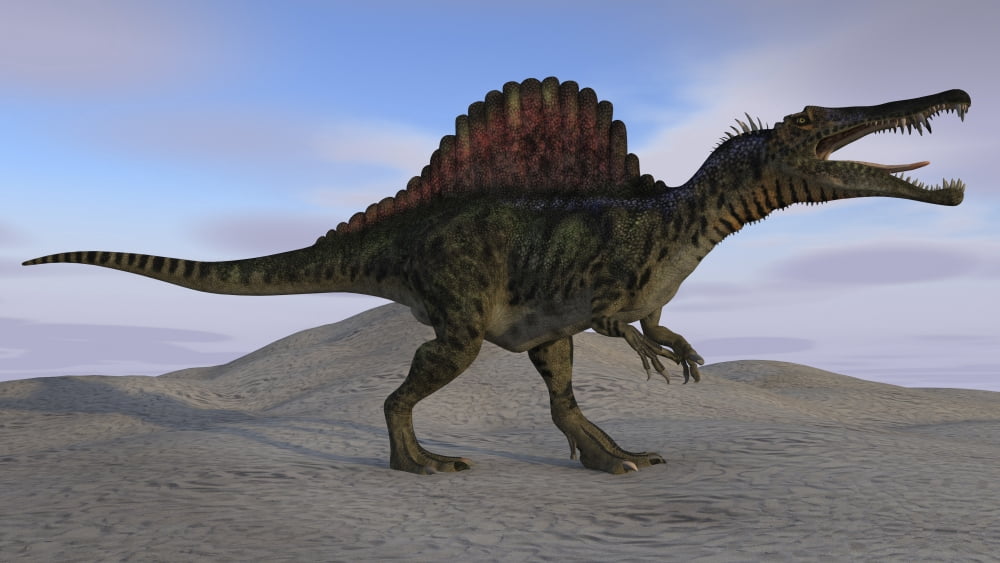 Spinosaurus on barren terrain Canvas Art - Kostyantyn IvanyshenStocktrek Images (38 x 22)