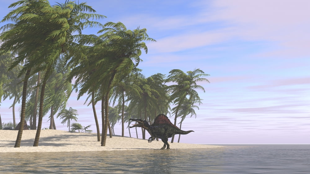 Spinosaurus roaming along the shoreline Canvas Art - Kostyantyn IvanyshenStocktrek Images (19 x 11)