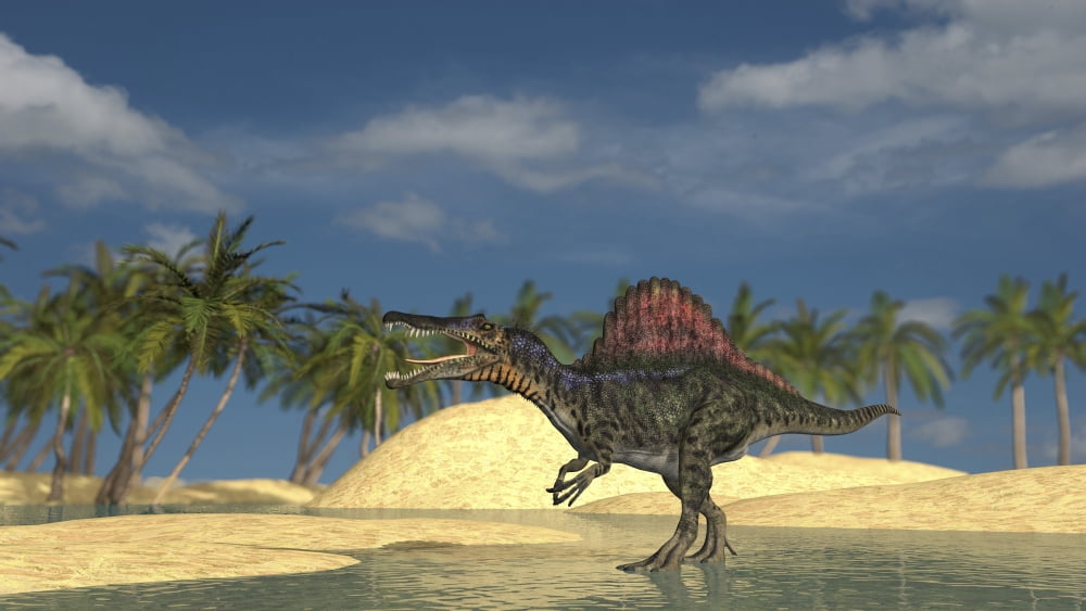 Spinosaurus standing in shallow water Canvas Art - Kostyantyn IvanyshenStocktrek Images (38 x 22)