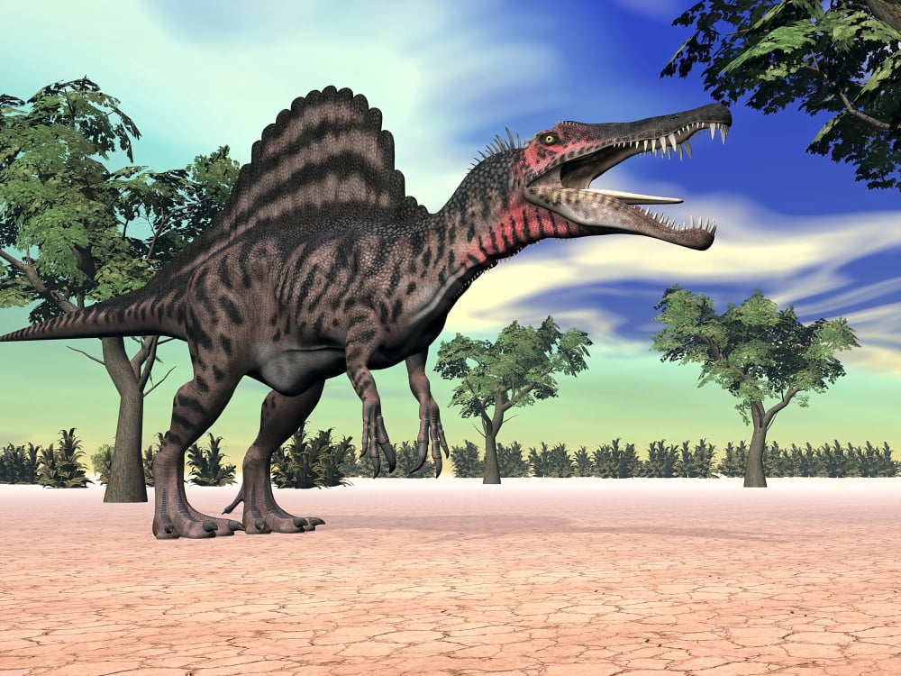 Spinosaurus standing in the desert with trees Canvas Art - Elena DuvernayStocktrek Images (33 x 25)