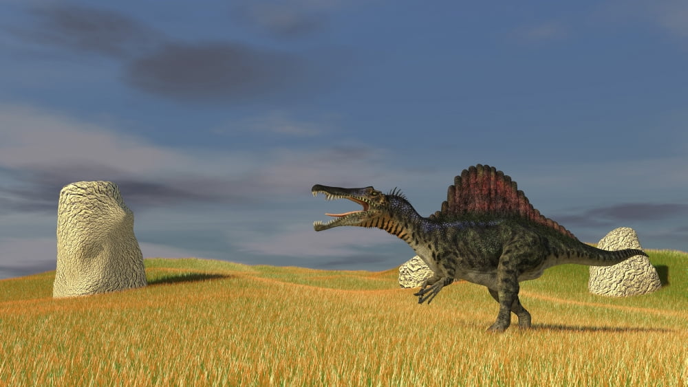 Spinosaurus walking across a grassy field Canvas Art - Kostyantyn IvanyshenStocktrek Images (19 x 11)