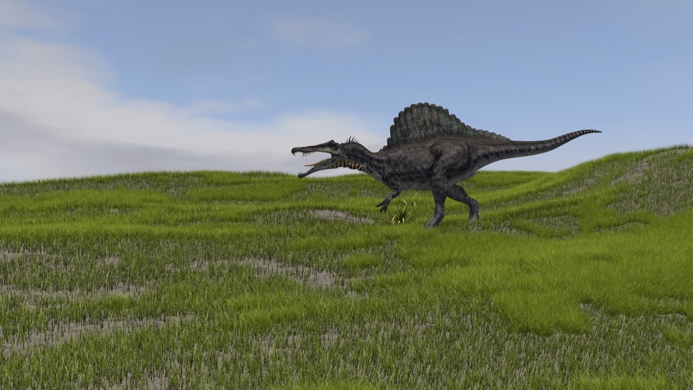 Spinosaurus walking across a grassy field Canvas Art - Kostyantyn IvanyshenStocktrek Images (38 x 22)
