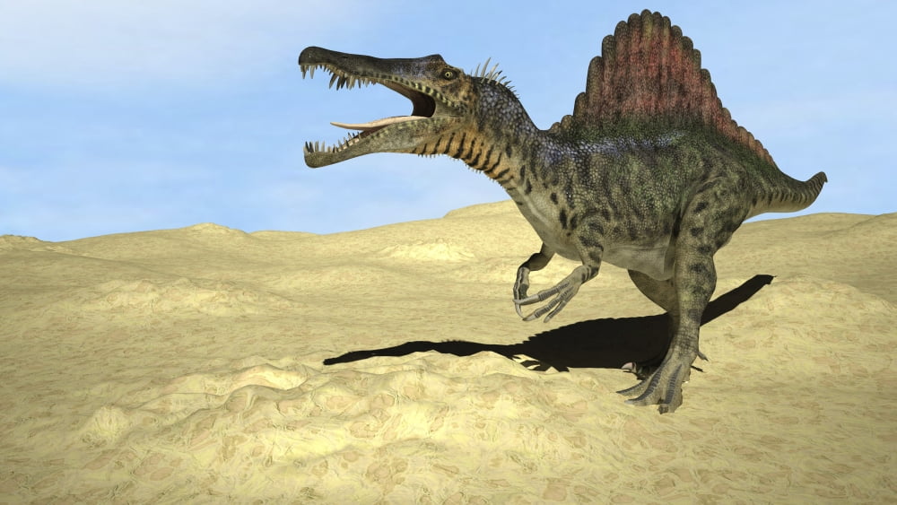Spinosaurus walking across desert terrain Canvas Art - Kostyantyn IvanyshenStocktrek Images (19 x 11)