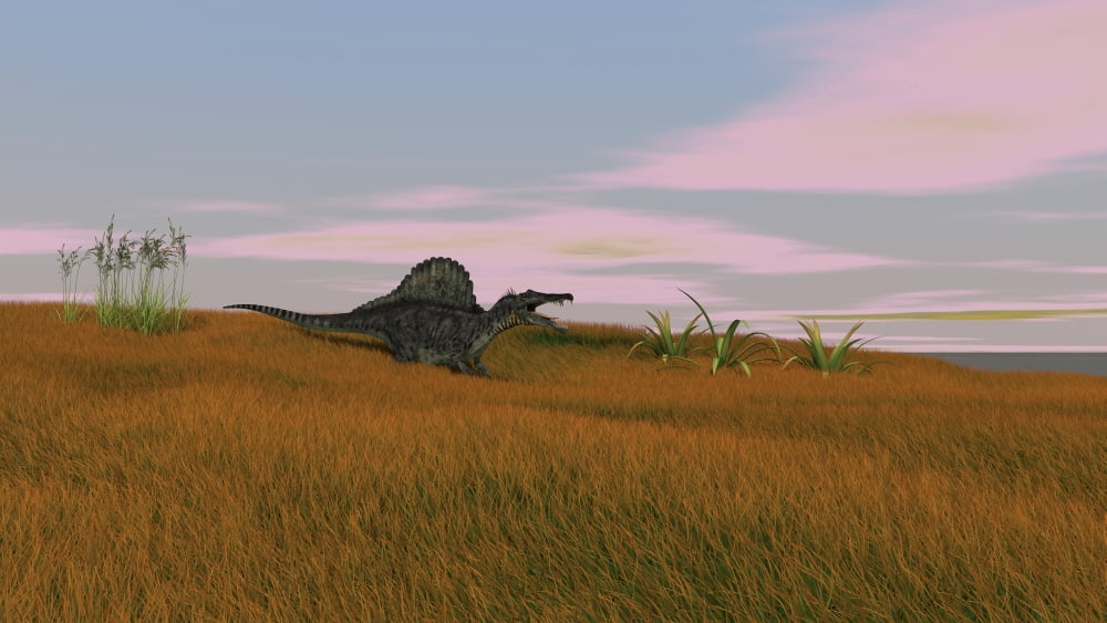 Spinosaurus walking across prehistoric grasslands Canvas Art - Kostyantyn IvanyshenStocktrek Images (19 x 11)