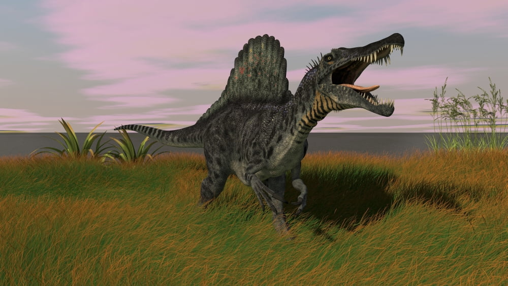 Spinosaurus walking across prehistoric grasslands Canvas Art - Kostyantyn IvanyshenStocktrek Images (38 x 22)