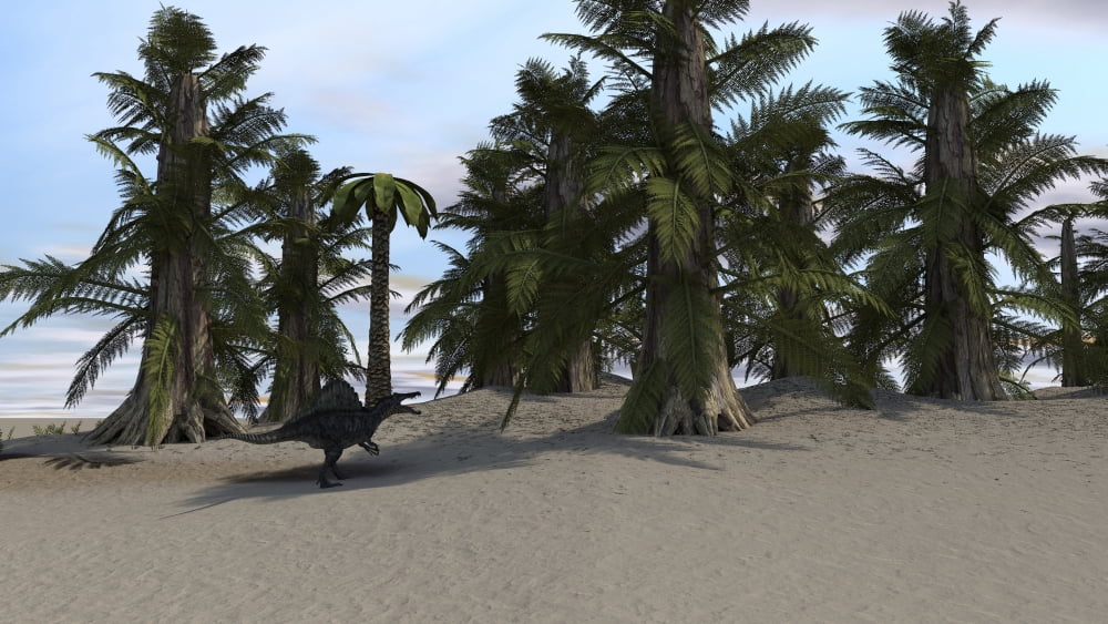 Spinosaurus walking in a desert environment Canvas Art - Kostyantyn IvanyshenStocktrek Images (38 x 22)