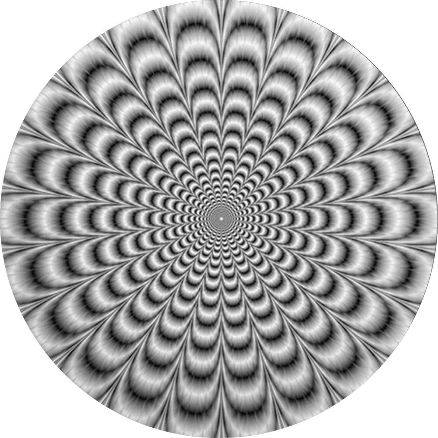 Spinpop Phone Grip - Psychedelic Flower Black and White