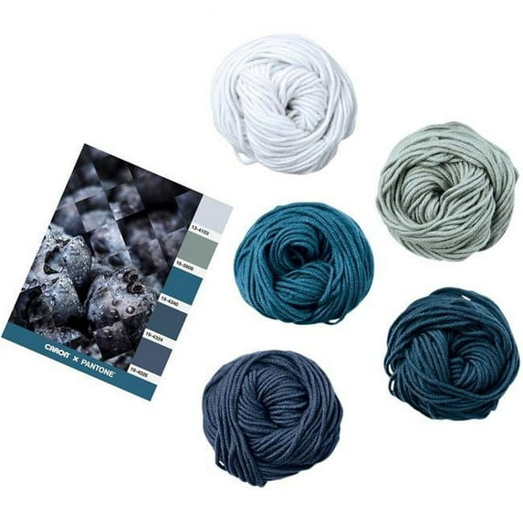 Spinrite 291101-01009 Caron X Pantone Yarn, Blueberry