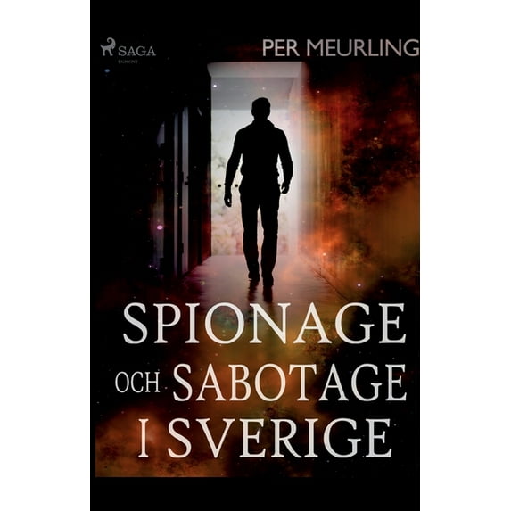 Spionage och sabotage i Sverige (Paperback)