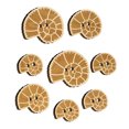 thumbnail image 1 of Spiral Ammonite Fossil Marine Mollusk Wood Buttons for Crochet Knitting Sewing DIY Craft - 1.25 Inch Large (5pcs), 1 of 7