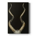 thumbnail image 1 of Spiral Antelope Horns Premium Gallery Wrapped Canvas - Ready to Hang, 1 of 9