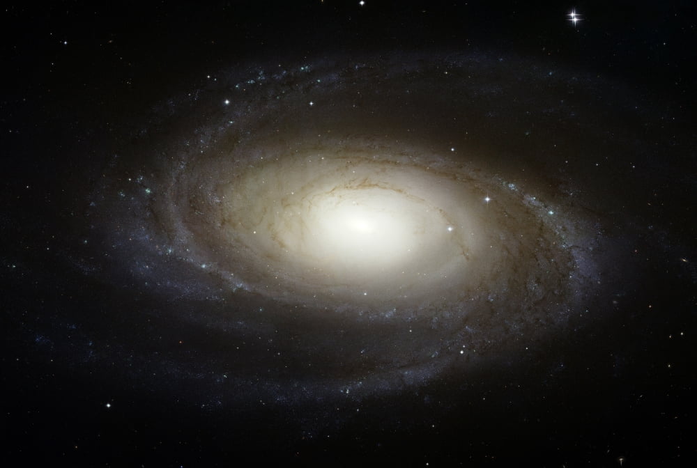Spiral Galaxy M81 Canvas Art - Stocktrek Images (34 x 23)