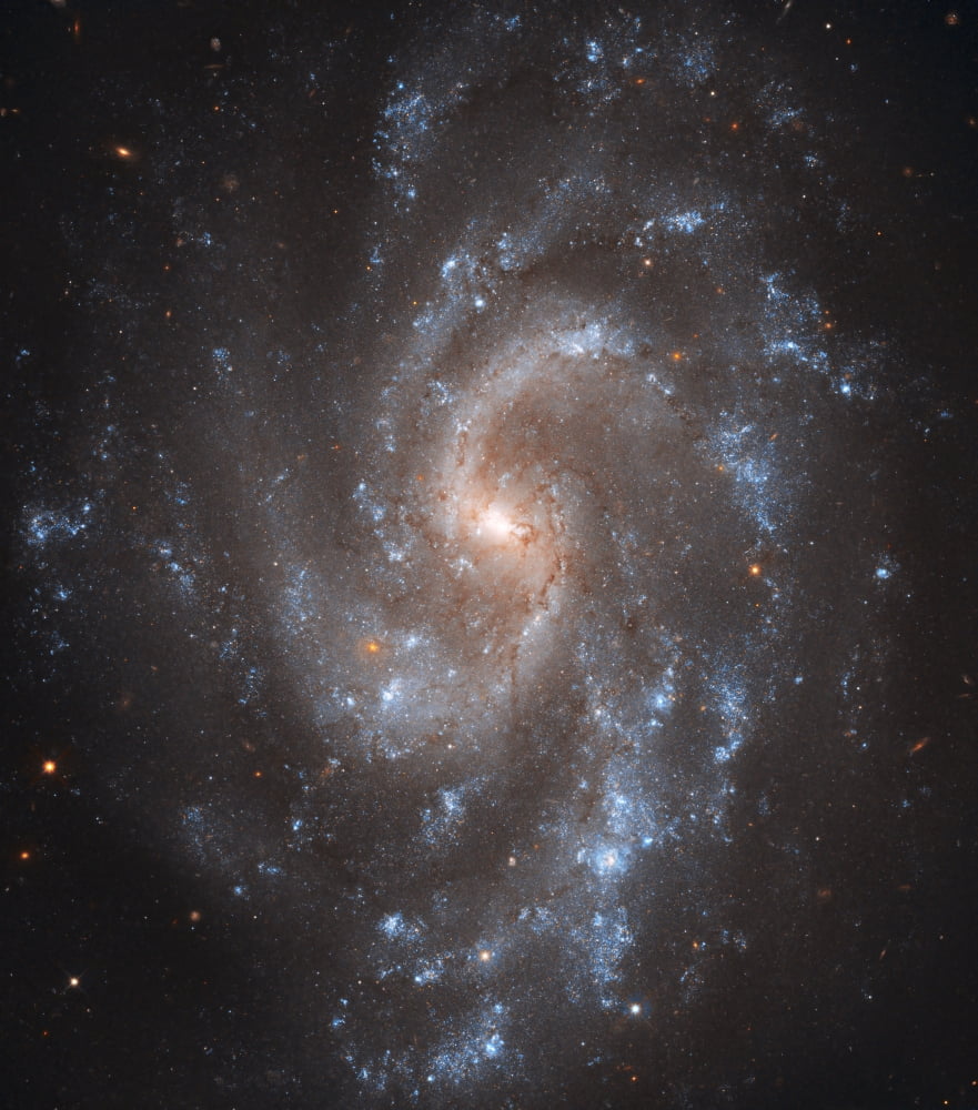 Spiral Galaxy NGC 5584 Canvas Art - Stocktrek Images (27 x 30)