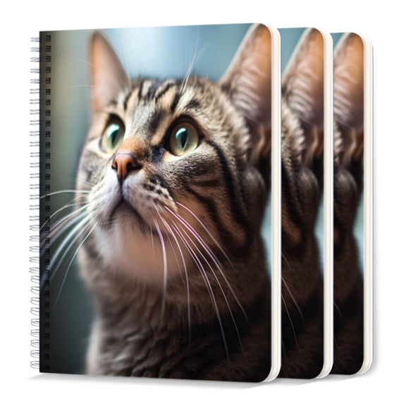 Spiral Journal Notebook,50 Sheets A5 College Ruled Notebook/Journal 3 Pcs for School Office Home - American Shorthair Cat With Green Eyes Looking Up At The Sky