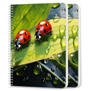 Spiral Notebook,College Ruled Journal,8.26 x 5.71 50 Sheets/100 Pages,2 Pack - Ladybugs on The Edge of Green Leaf With Water Droplets
