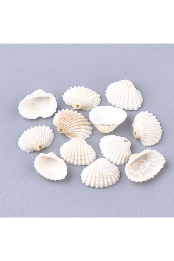 Spiral Shell Charms Shell Creamy White 21~29.5x17.5~24x6~10.5mm Hole: 1.2mm