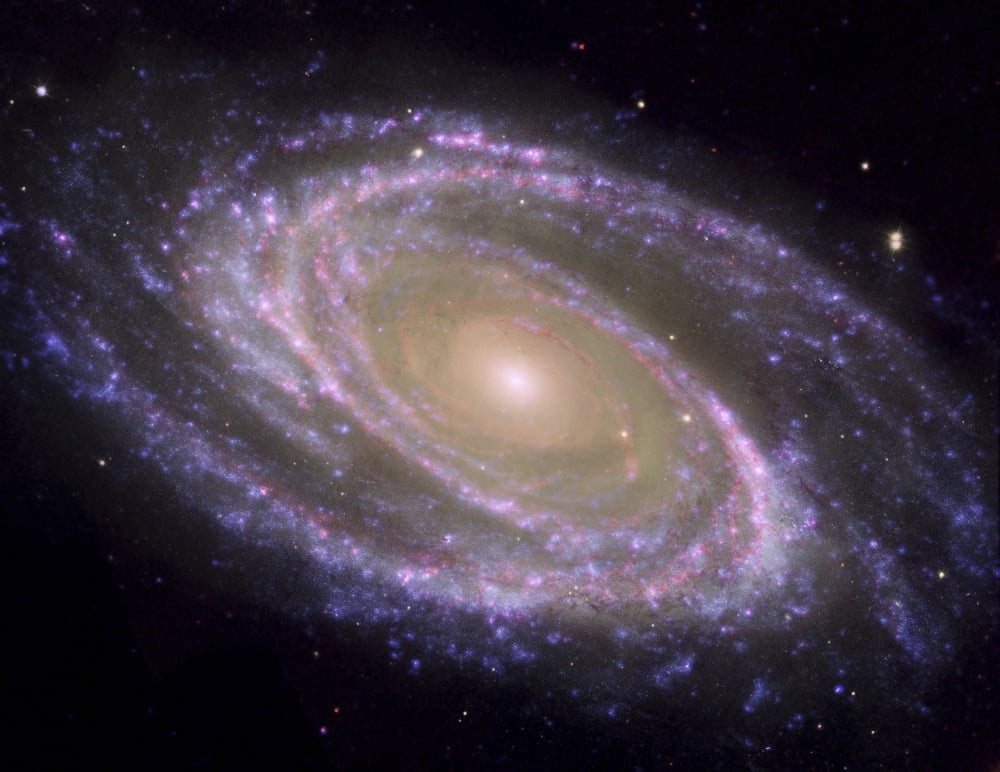 Spiral galaxy Messier 81 Canvas Art - Stocktrek Images (31 x 24)