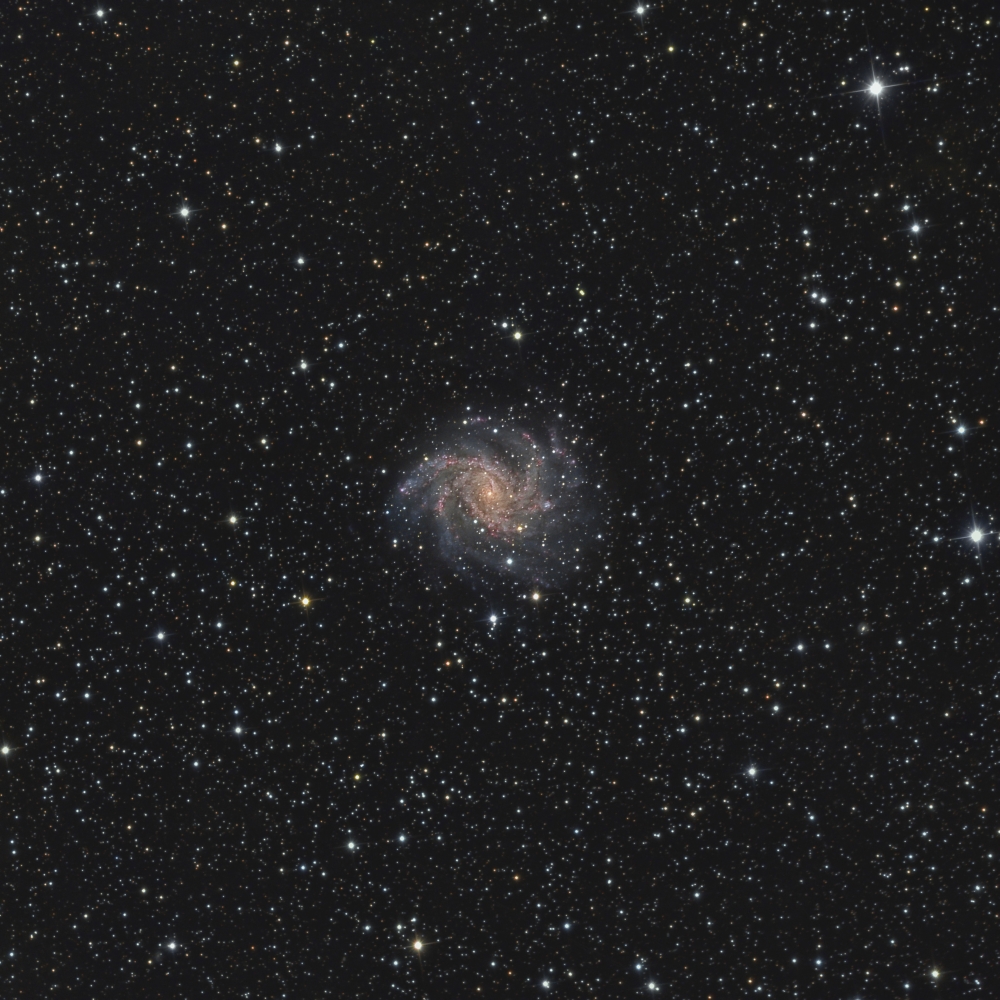 Spiral galaxy NGC 6946 Canvas Art - Rolf GeissingerStocktrek Images (28 x 28)