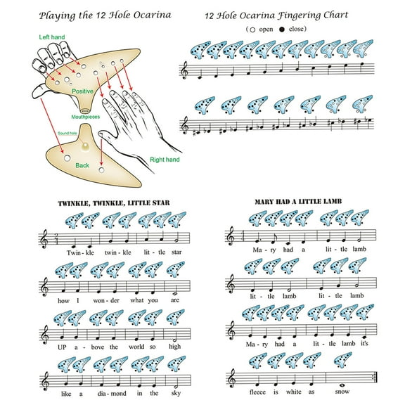 6 Hole Alto Ocarina Cartoon Tortoise Wind Orff Musical Instrument Flute ...