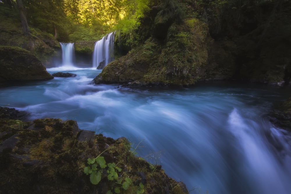 Spirit Falls Washington United States of America Canvas Art - Robert Postma Design Pics (19 x 12)
