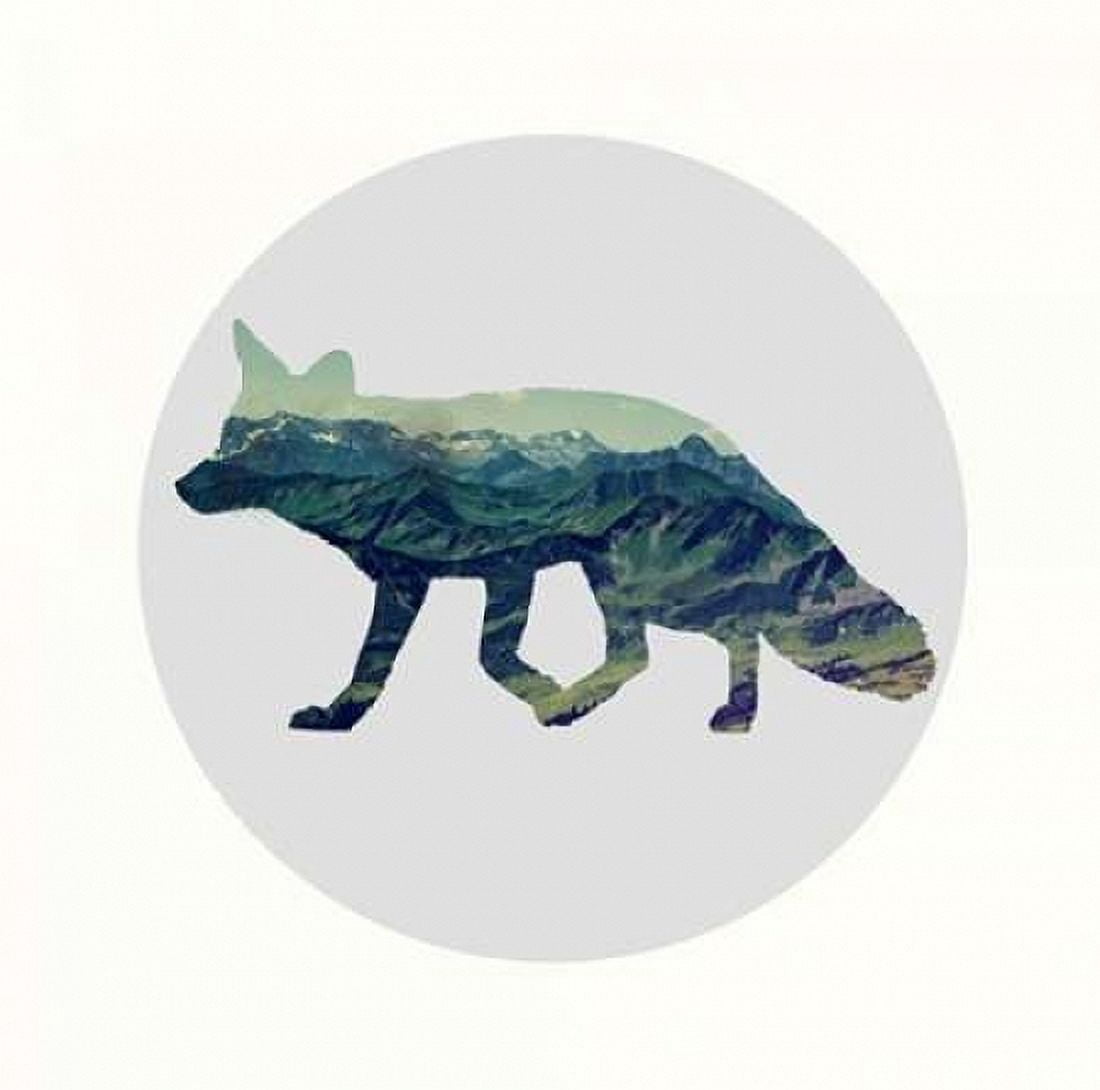 Spirit Fox Canvas Art - Evangeline Taylor (24 x 24)