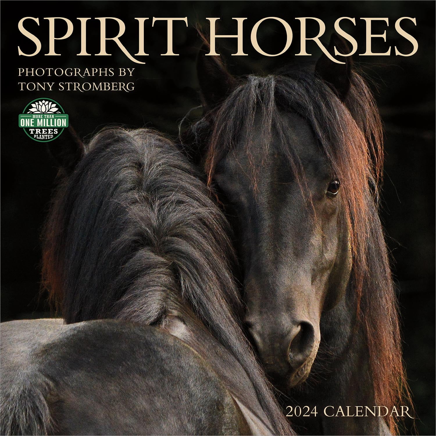 Spirit Horses 2024 Wall Calendar by Tony Stromberg 12" x 24" Open