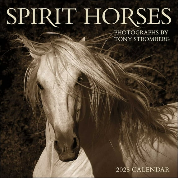 Spirit Horses 2025 Wall Calendar by Tony Stromberg, (Paperback)