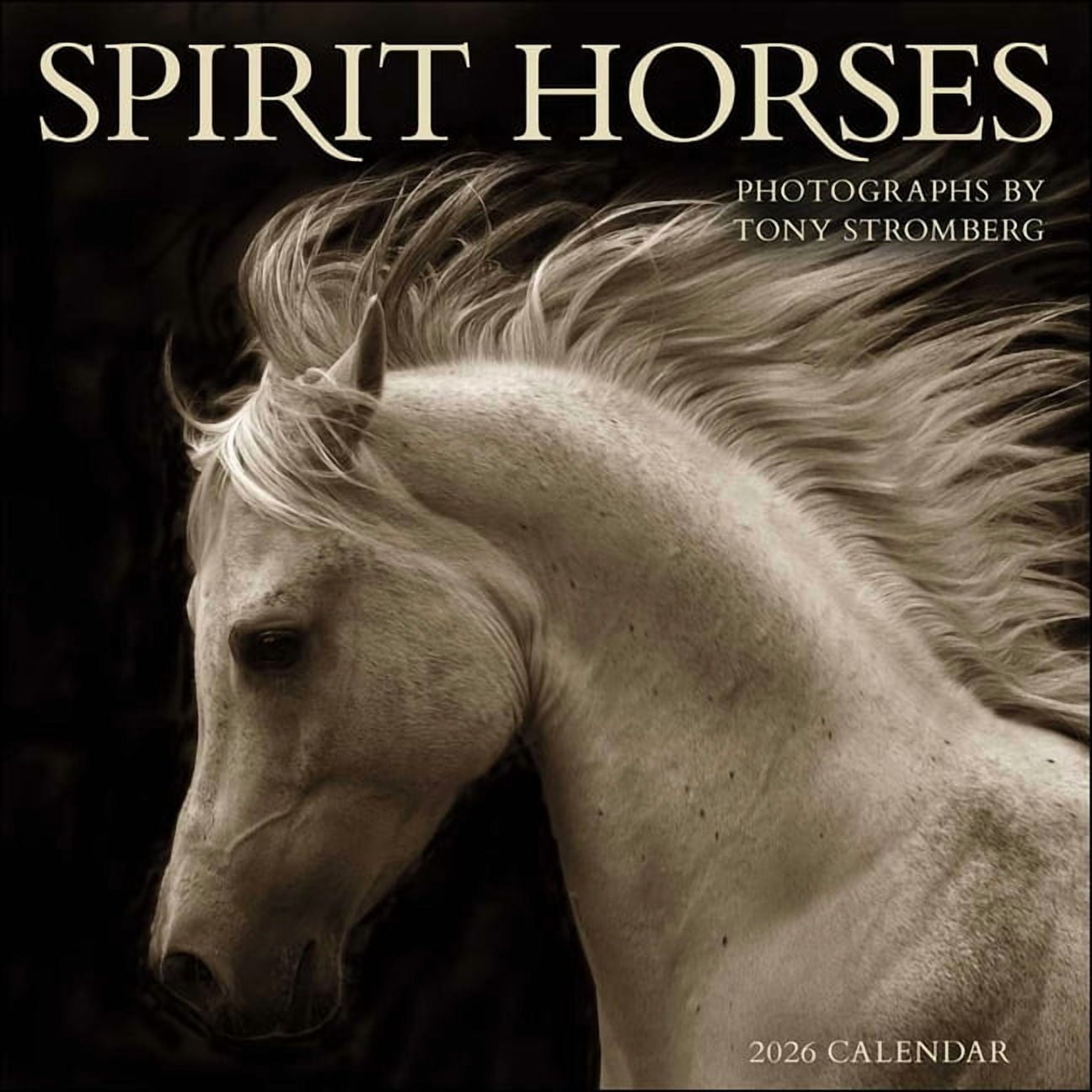 Spirit Horses 2026 Wall Calendar by Tony Stromberg, (Paperback)