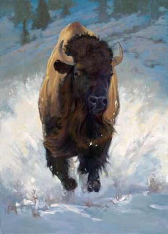 Spirit of Thunder Canvas Art - Karen Bonnie (20 x 28)