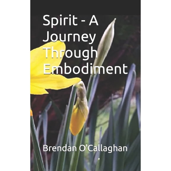 Spiritual Development - A Natural Proces Spirit - A Journey Through Embodiment, Book 5, (Paperback)