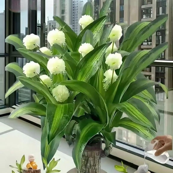 Spiritual Energy Tree with Hidden Charm, Brazilian Decor Going Viral on TikTok, Wooden Base Lucky Tree That Symbolizes Wealth and Wellness