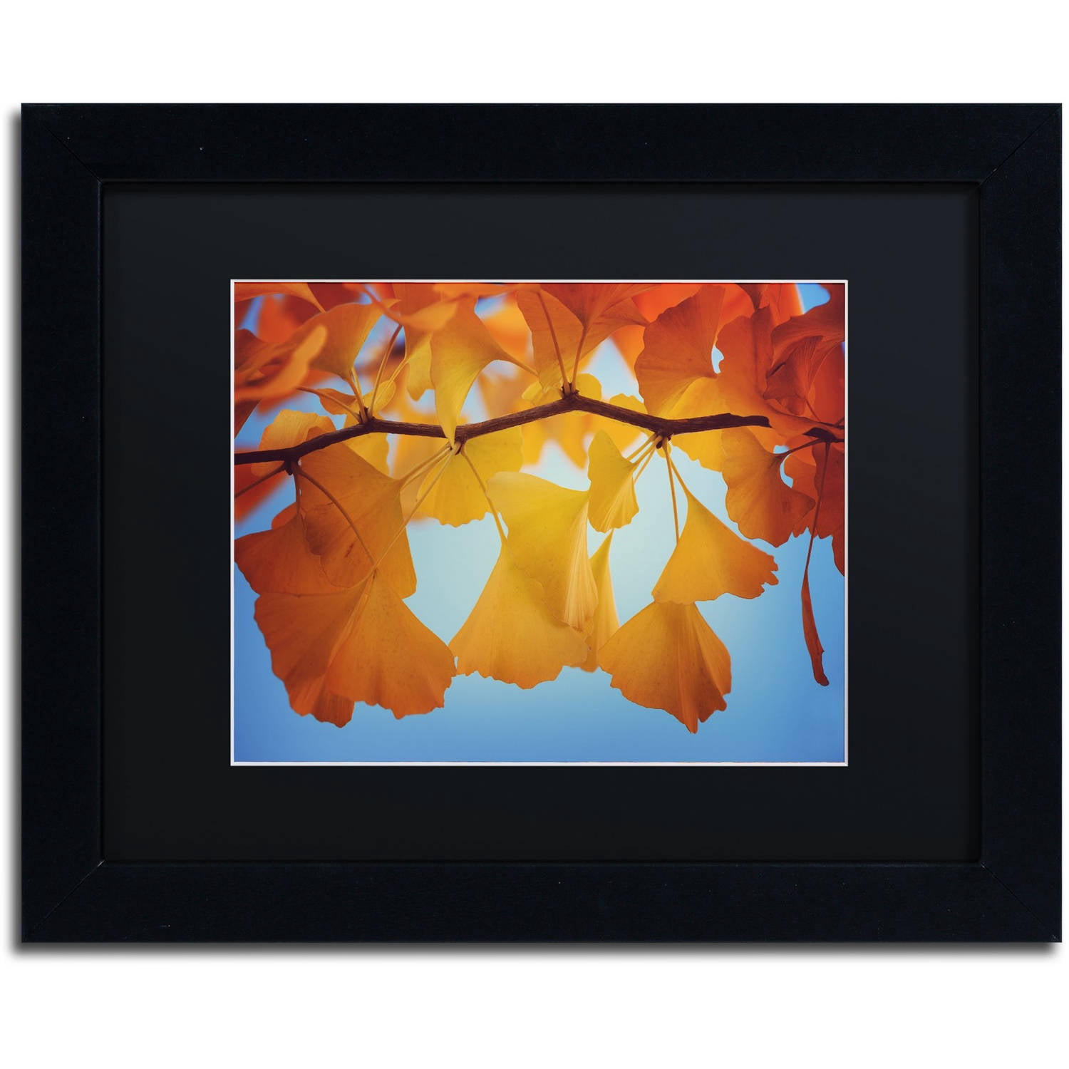"Spiritual Food" Canvas Art by Philippe Sainte-Laudy Black Matte, Black Frame