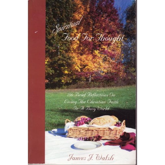 Pre-Owned Spiritual Food For Thought (100 Brief Reflections On Living The Christian Faith In A Busy World) (Paperback) 0970693206 9780970693204