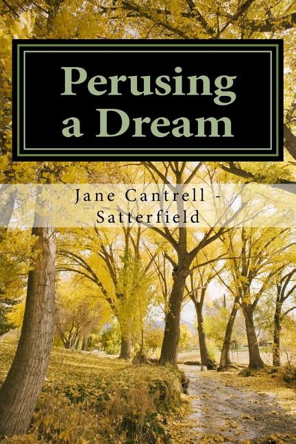 Spiritual Guidence: Perusing a Dream (Series #1) (Paperback)