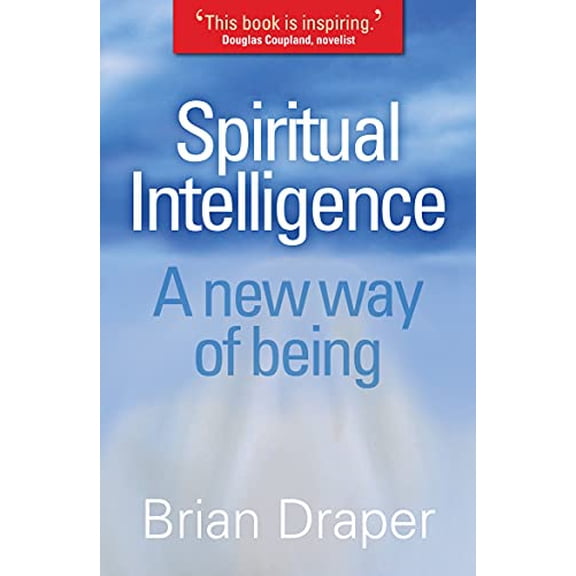 Pre-Owned Spiritual Intelligence : A New Way of Being (Paperback) 9780745953212