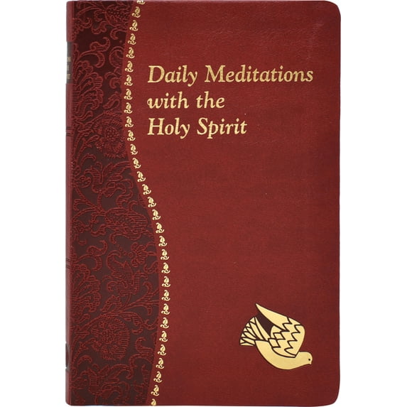 Catholic Daily Devotionals Daily Meditations with the Holy Spirit: Minute Meditations for Every Day Containing a Scripture, Reading, a Reflection, , (Hardcover)