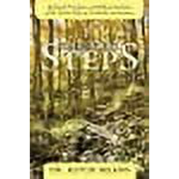 Spiritual Steps : Spiritual Principles and Biblical Doctrine of the Twelve Steps of Alcoholics Anonymous