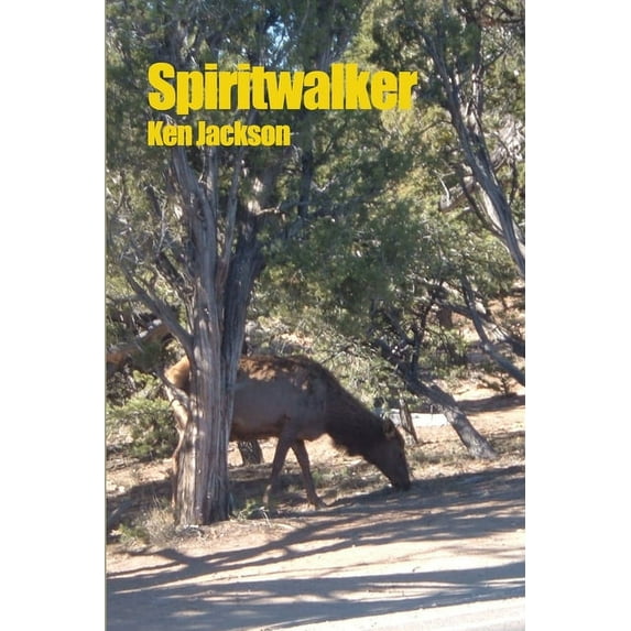 Spiritwalker (Paperback)